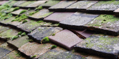 Cooksbridge roof repair costs
